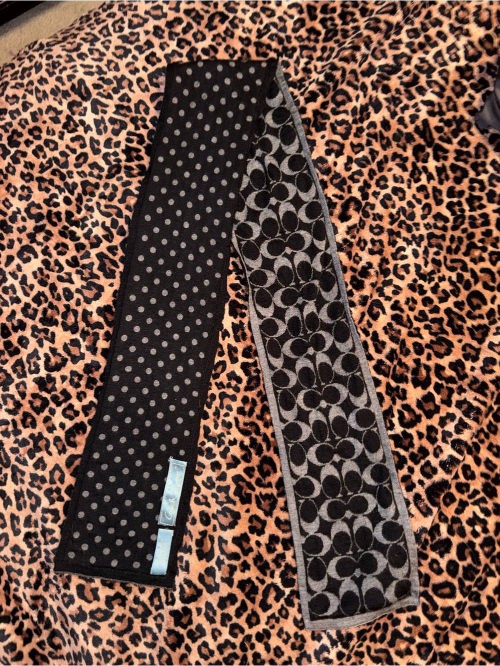 Y2k coach scarf